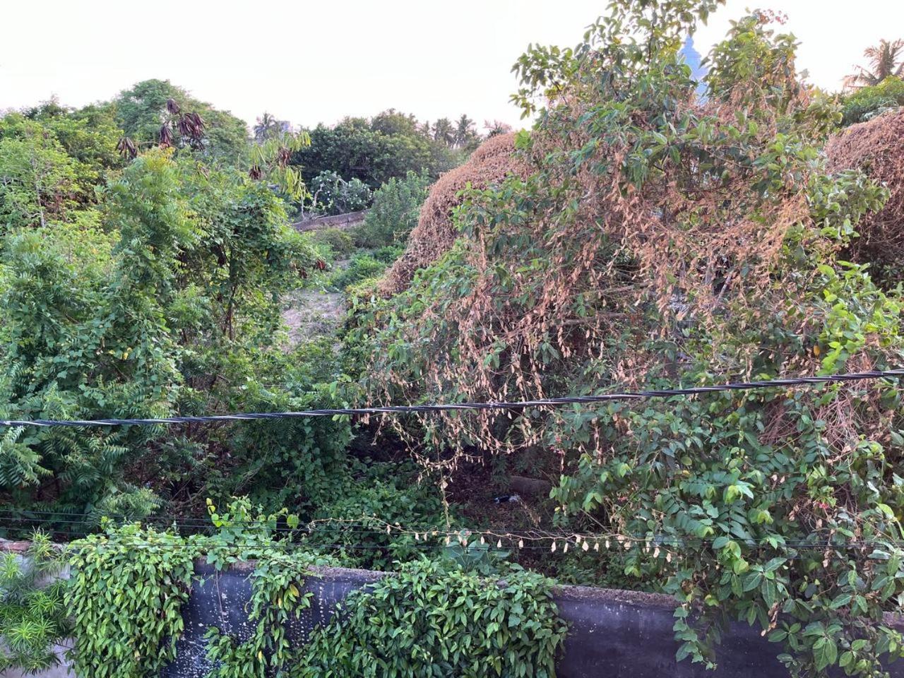 Homestay Nirman 5 Minutes Walk To Puri
